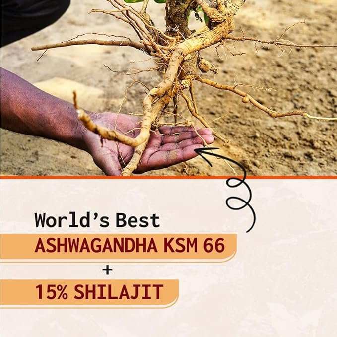 AyuZest Ashwagandha KSM-66 + Shilajit Capsules