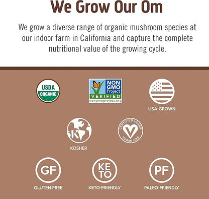 OM MUSHROOM SUPERFOOD Master Blend Plant-Based Protein Powder, 19.26 Ounce, 16 Servings, Creamy Chocolate Protein with 10 Mushroom Complex, Lions Mane, Adaptogens for Optimal Health and Recovery
