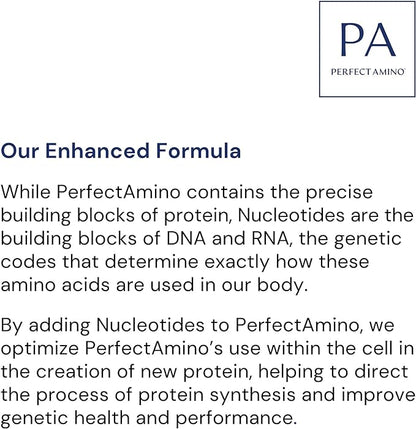 BodyHealth PerfectAmino (300 Tablets) Essential Amino Acid Supplement with BCAA and EAA, Muscle Recovery, Boost Energy & Stamina, 99% Utilization, Vegan Branched Chain Protein Pre/Post Workout