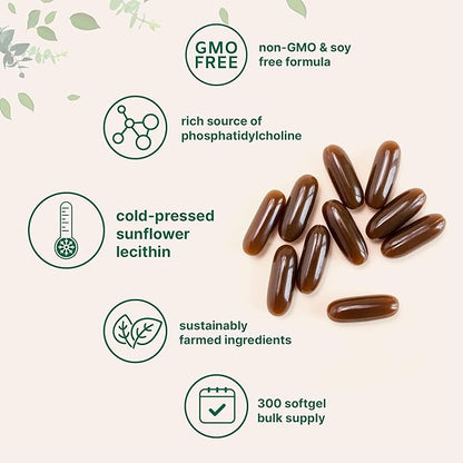 Micro Ingredients Sunflower Lecithin 1,600mg Per 300 Softgels