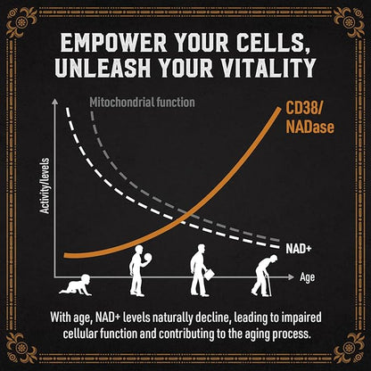 1800 MG Liposomal NAD Supplement, NAD+ Supplement Similar to Nicotinamide Riboside, 98% Pure NAD Plus Supplement for Energy Booster & Cellular Repair for Men & Women, Non-GMO, 120 Softgels