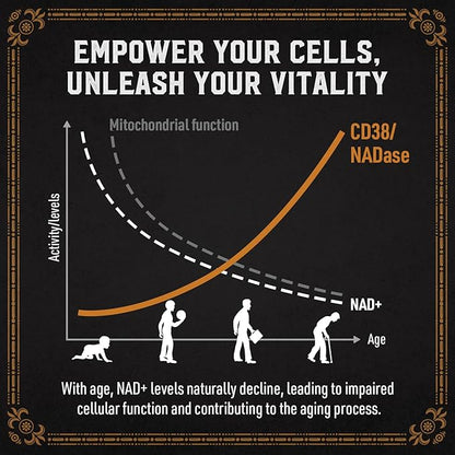 1800 MG Liposomal NAD Supplement, NAD+ Supplement Similar to Nicotinamide Riboside, 98% Pure NAD Plus Supplement for Energy Booster & Cellular Repair for Men & Women, Non-GMO, 60 Softgels
