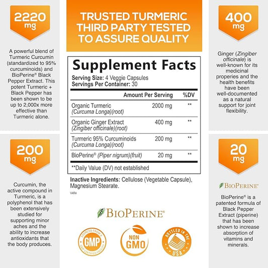Turmeric Curcumin with BioPerine Black Pepper 95% Standardized 2600mg for 120 Capsules