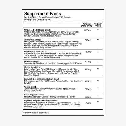 Terra Health Essentials® Super Greens | Organic Superfood Greens Powder | Gluten-Free Gut-Friendly Probiotics | 30 Servings