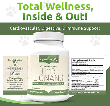 Lignans for Life HMR Lignans for Dogs, 40mg - 90 Capsules, Dog Vitamin for Healthy Pet | Natural Dog Multivitamin | Dog Wellness Supplement | Dog Nutritional Supplement | Pet Vitamin 2-Pack