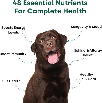 Doggie Greens - Natural Dog Vitamins & Probiotics for Dogs. No Messy Powder. Includes Spirulina, Kelp & Antioxidant Berry Mix. 6-in-1 Dog Supplements & Vitamins Chews. Super Greens for Dogs.