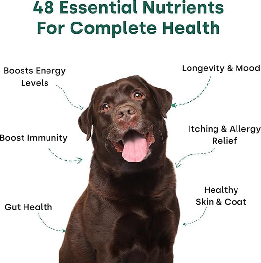 Doggie Greens - Natural Dog Vitamins & Probiotics for Dogs. No Messy Powder. Includes Spirulina, Kelp & Antioxidant Berry Mix. 6-in-1 Dog Supplements & Vitamins Chews. Super Greens for Dogs.
