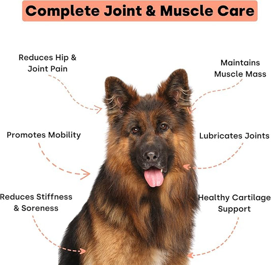 Joint & Recovery | 2-in-1 Joint & Muscle Chews. Joint Support Supplement for Dogs. Helps with Arthritis or Prevention from Hip & Joint Pain. for All Life Stages. Tasty Trout Flavor.