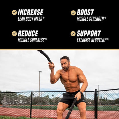 Outwork Nutrition Recovery Supplement, Post Workout Recovery Powder & Muscle Builder for Men and Women, Recharge Muscles After Gym, Backed by Science, 240 Gr (Iced Tea)