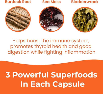 INFINITE AGE: 3 Pack, 1250mg Sea Moss Advanced Superfood, High-Potency, Vegan, Made in The USA - Irish Sea Moss, Bladderwrack, Burdock Root - Overall Health, Immunity Support, 180 Sea Moss Capsules