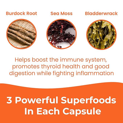 INFINITE AGE: 1250mg Sea Moss Advanced Superfood - High-Potency, Vegan, Made in The USA - Irish Sea Moss, Bladderwrack, Burdock Root - Overall Health, Immunity Support, 60 Sea Moss Capsules