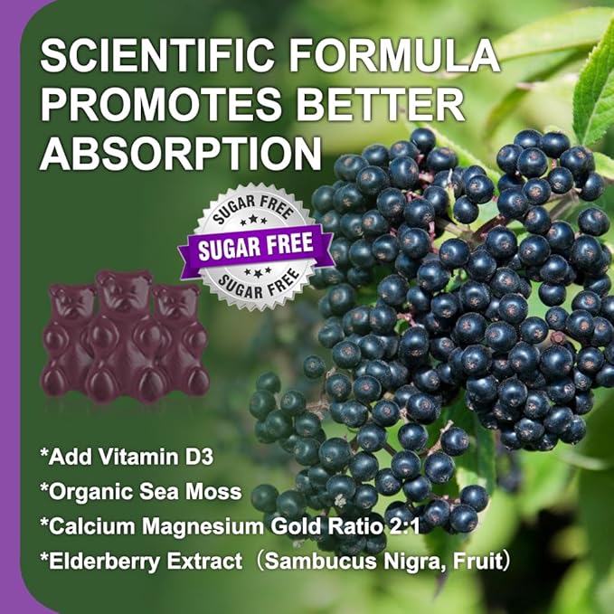 (2 Pack) Sugar Free Calcium Magnesium 2:1, Contains D3, Sea 120 Gummies