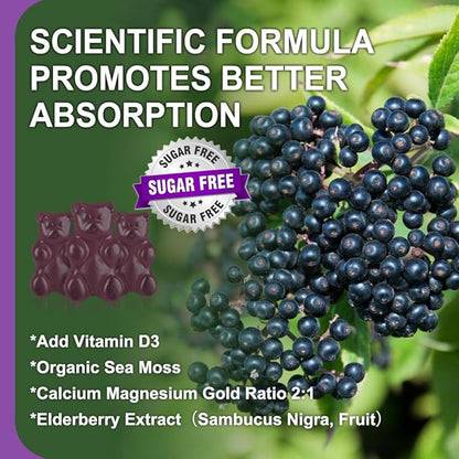 (2 Pack) Sugar Free Calcium Magnesium 2:1, Contains D3, Sea 120 Gummies