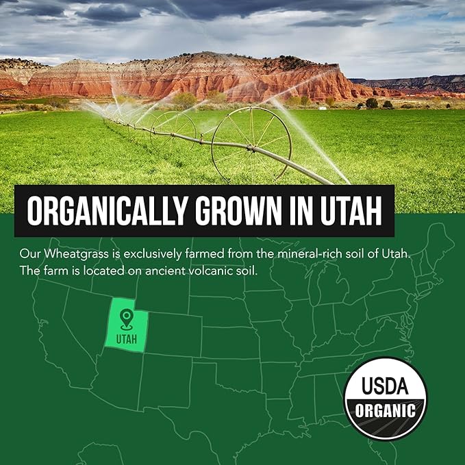 Organic Wheatgrass Juice Powder - Organically Grown in Volcanic Soil of Utah - Raw & BioActive Form, Cold-Pressed Then CO2 Dried, 20:1 Super Concentrate - Lemon (6.2 oz - 60 Servings)