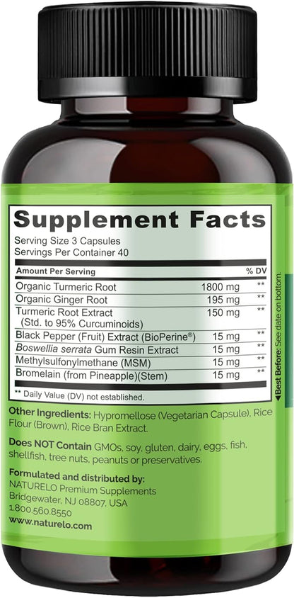 NATURELO Turmeric Curcumin with BioPerine 120 Vegan (2 Pack)