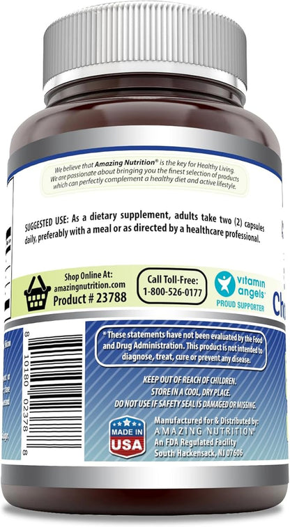 Amazing Formulas Glucosamine + Chondroitin + MSM 240 Capsules (240 Capsules)