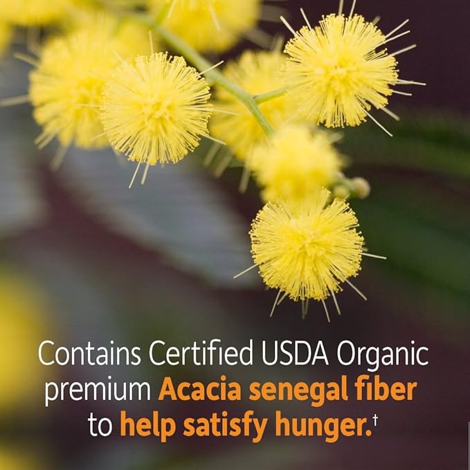 Garden of Life Dr Formulated Organic 32 Servings