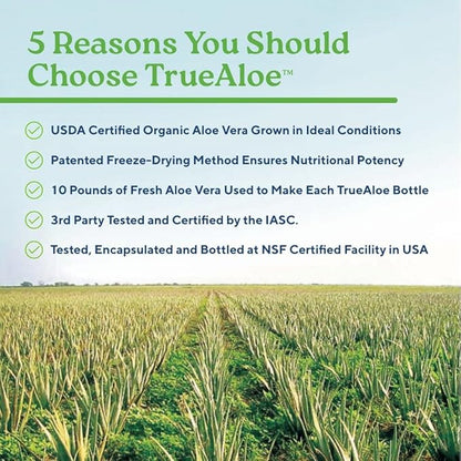 NatureCity True-Aloe 80,000mg Aloe Vera Gel Equivalent Per Serving– Made with Organic Aloe Vera (720 Capsules) Digestive, Skin and Joint Support|Small Easy-to-Swallow Pills