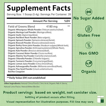 Field of Greens Superfood Powder with Organic Spirulina, Chlorella, Beet Root Powder - Bacillus Coagulans Probiotic, A Plant-Based Mix Supporting Gut Health, Immunity, Bloom into Health, 28 Scoops (1)