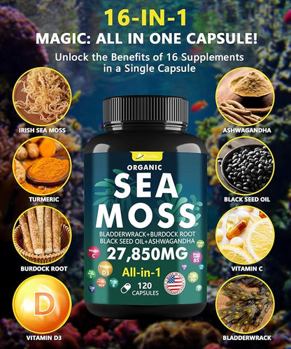 Sea Moss Capsule Complex with Sea Moss, Black Seed Oil, Aşhwagandha, Ginger & Vitamins C, D3-120 Capsules,Superfood Supplements - Advanced Seamoss Pills, Wild Sea Moss Pills, Made in USA