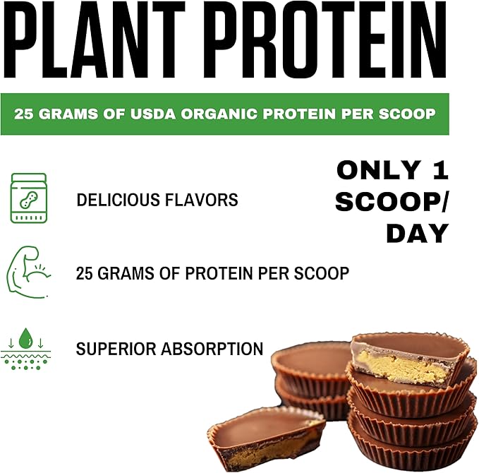vedge Certified Organic Plant Protein Chocolate (20 Servings)