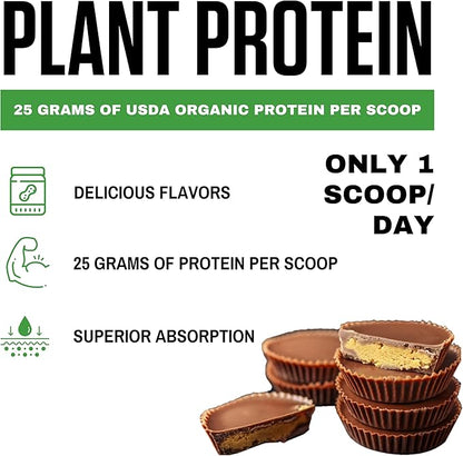 vedge Certified Organic Plant Protein Chocolate (20 Servings)