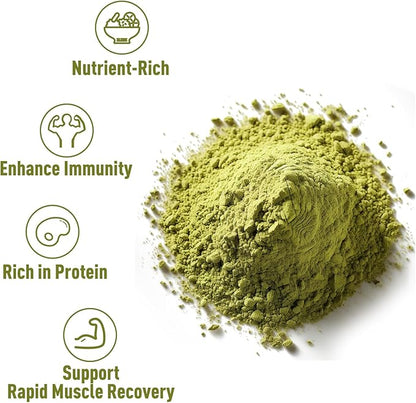 Organic Pumpkin Seed Protein Powder 1