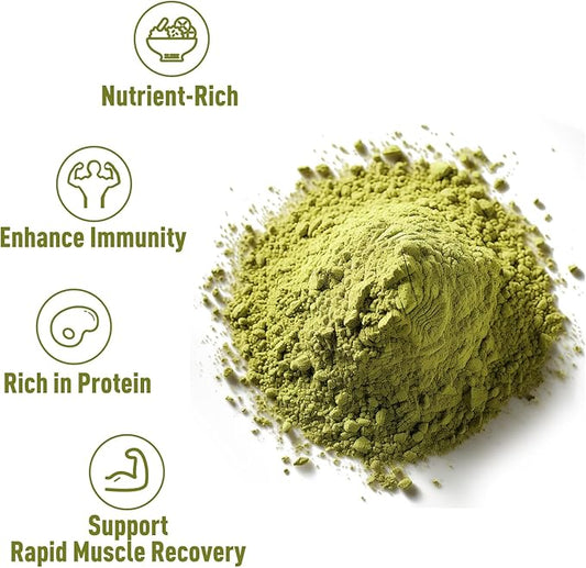 Organic Pumpkin Seed Protein Powder 1