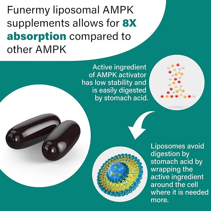 Liposomal AMPK Activator 2000 mg 6-in-1 AMPK 600 Softgels