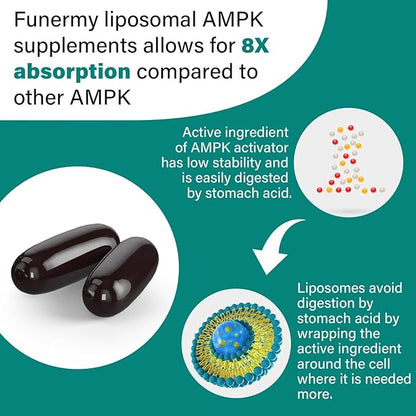 Liposomal AMPK Activator 2000 mg 6-in-1 AMPK 600 Softgels