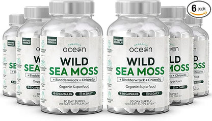Wild Sea Moss Capsules - 100% Organic Irish Sea Moss with Organic Chlorella, Bladderwrack and Vitamin D for Energy, Lung Health and Thyroid Support for Women and Men - 6 Bottles