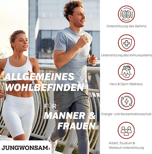 6-Year Korean Red Ginseng Extract 365 | 30 Sticks | Vegan | 7mg Ginsenosides per Stick | Energy, Focus, Fatigue, Immune Support | Supplement for Men & Women