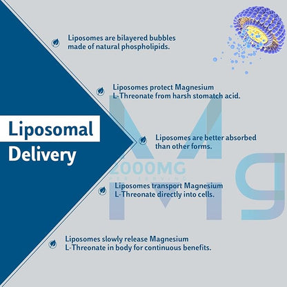 Liposomal Magnesium L-Threonate Softgels 2000mg D3 & K2 - 60 Softgels