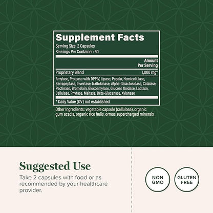 Global Healing Ultimate Enzymes - Systemic & Digestive Enzymes Supplement for Healthy Digestion, Immune System Boost and Natural Gut Health, Digestive Enzyme for Women and Men, Lipase (120 Capsules)