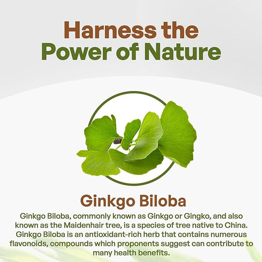 Go Nutra Ginkgo Biloba Extract Powder 10:1 Extra 8 oz.