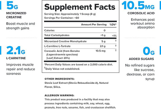 LEGION Recharge Post Workout Supplement - All Natural Muscle Builder & Recovery Drink with Micronized Creatine Monohydrate Naturally Sweetened & Flavored (Unflavored, 60 Servings, Pack of 1)