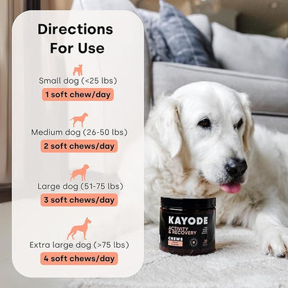 Joint & Recovery | 2-in-1 Joint & Muscle Chews. Joint Support Supplement for Dogs. Helps with Arthritis or Prevention from Hip & Joint Pain. for All Life Stages. Tasty Trout Flavor.