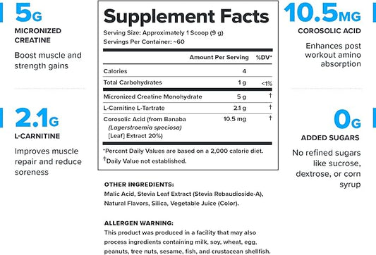 LEGION Recharge Post Workout Supplement - All Natural Muscle Builder & Recovery Drink with Creatine Monohydrate. Naturally Sweetened & Flavored, Safe & Healthy. 60 Servings. (Watermelon, 60 Servings)