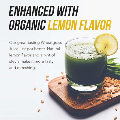 Organic Wheatgrass Juice Powder - Organically Grown in Volcanic Soil of Utah - Raw & BioActive Form, Cold-Pressed Then CO2 Dried, 20:1 Super Concentrate - Lemon (6.2 oz - 60 Servings)