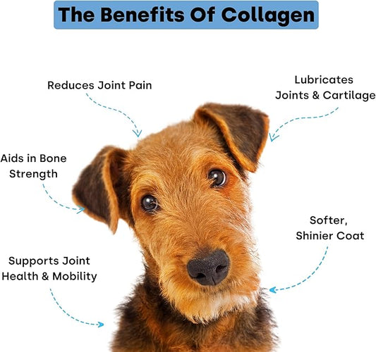 Collagen Puptides - Collagen for Dogs | Premium Dog Joint Support | Great for Senior & Adult Dogs. Premium Bovine, Marine Collagen, Omega 3s. Tasty Steak Collagen Chews for Dogs
