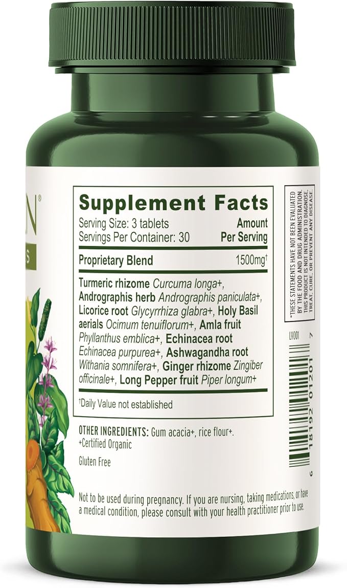 Banyan Botanicals Immune Strong – Organic 90 Tablets