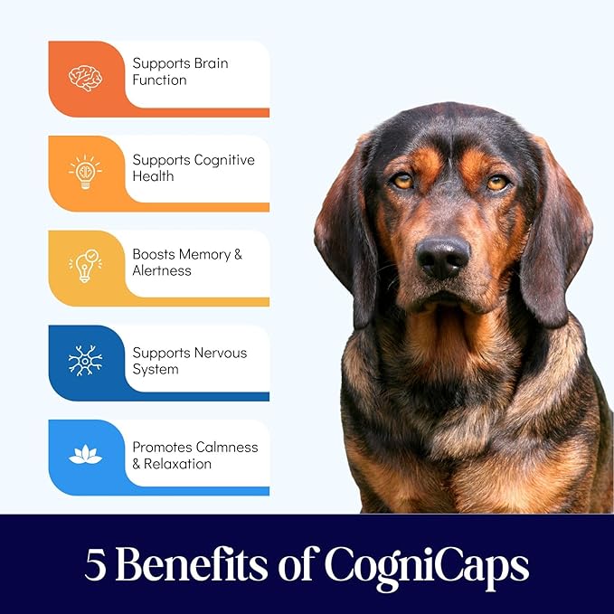 Dr. Fossum's CogniCaps Dog Cognitive Supplement – Multivitamin for Dogs Brain Health with SAM-e, Coenzyme Q10, Polygala, Curcumin – Senior Dog Supplements for Cognitive Support
