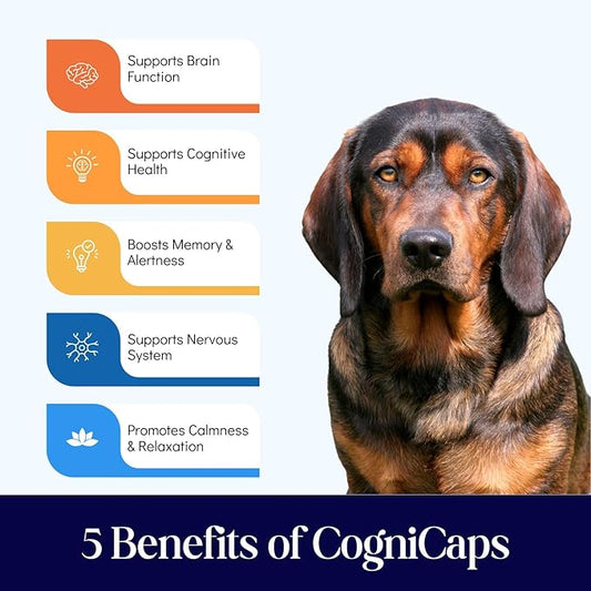 Dr. Fossum's CogniCaps Dog Cognitive Supplement – Multivitamin for Dogs Brain Health with SAM-e, Coenzyme Q10, Polygala, Curcumin – Senior Dog Supplements for Cognitive Support