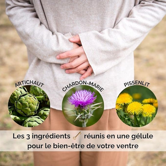 ORZAX Milk Thistle 250 mg 80% Silymarin 120 Vegetable