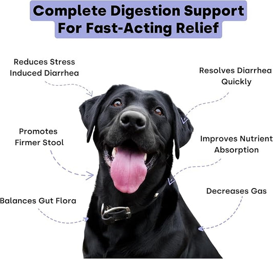 Kayode Ultimate Digestion. Fast Facting Anti Diarrhea for Dogs. Dog Farty Remedy & Dog Gas Relief. Natural Dog Diarrhea Medication Alternative. Pumpkin & Digestive Enzymes for Dogs.