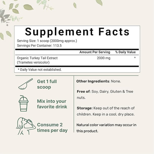 Micro Ingredients Organic Turkey Tail Mushroom (50:1 Extract), 8 Ounce