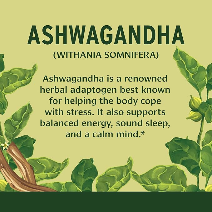 Banyan Botanicals Ashwagandha Tablets – Organic 90 Tablets