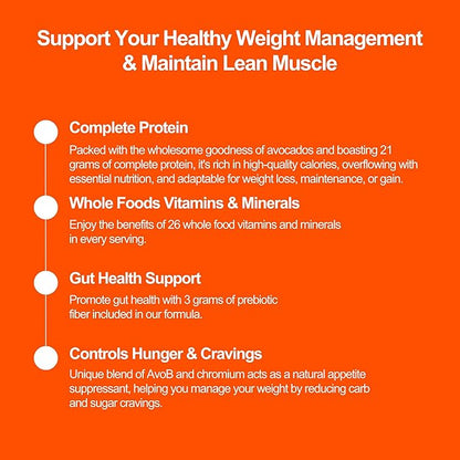 Advanced Weight Support Meal Replacement Chocolate
