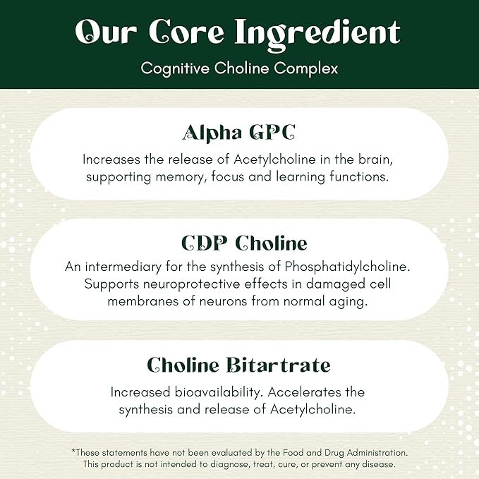Alpha Focus Nootropic 60 Capsules