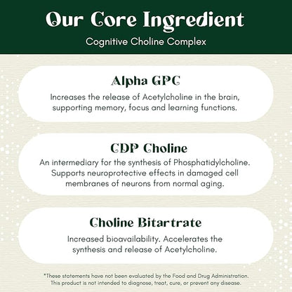 Alpha Focus Nootropic 60 Capsules